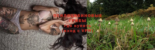 мяу мяу мука Аркадак