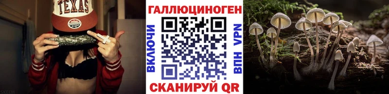 Галлюциногенные грибы Psilocybine cubensis  Купить где  Светлогорск 